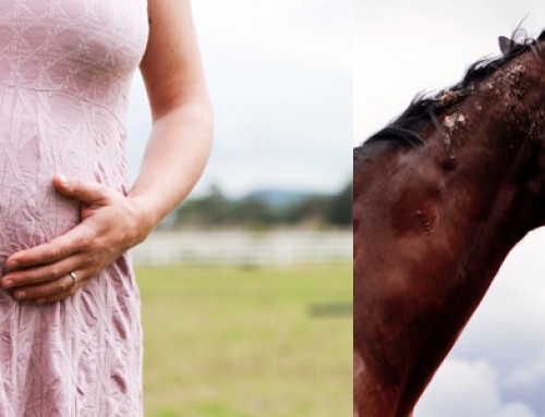 Maternity shoot – Bridget on the farm
